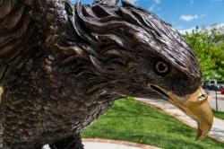 十大博彩推荐排名州立大学红鹰雕像的特写照片